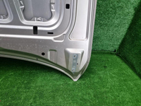 Капот Hongqi H9 (2020-н.в.)