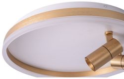 Накладной светильник Zortes Raizy ZRS.1888.02