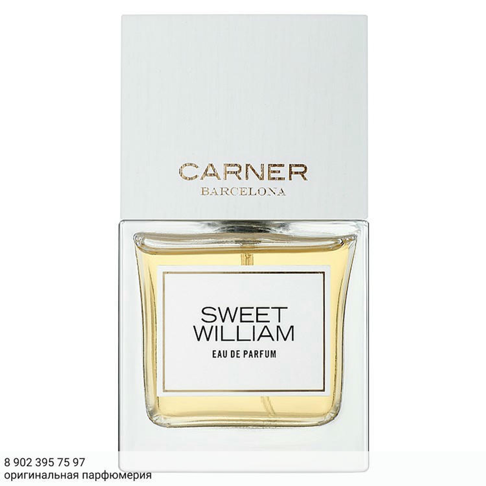 Carner Barcelona Sweet William