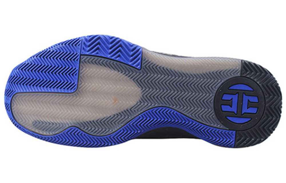 Кроссовки Adidas Terrex Agravic Flow 2.0