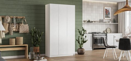 Идея 135 шкаф распашной 3Д