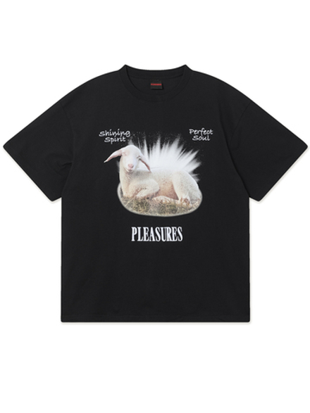 Мужская Футболка Shine