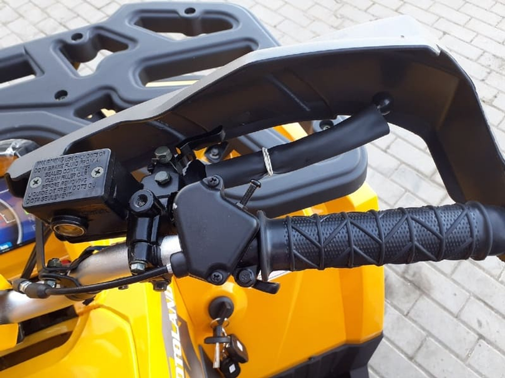 Квадроцикл MOTOLAND ATV 200 Wild Track