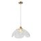 Подвесной светильник Indigo Amore V11051/1P Clear V000519