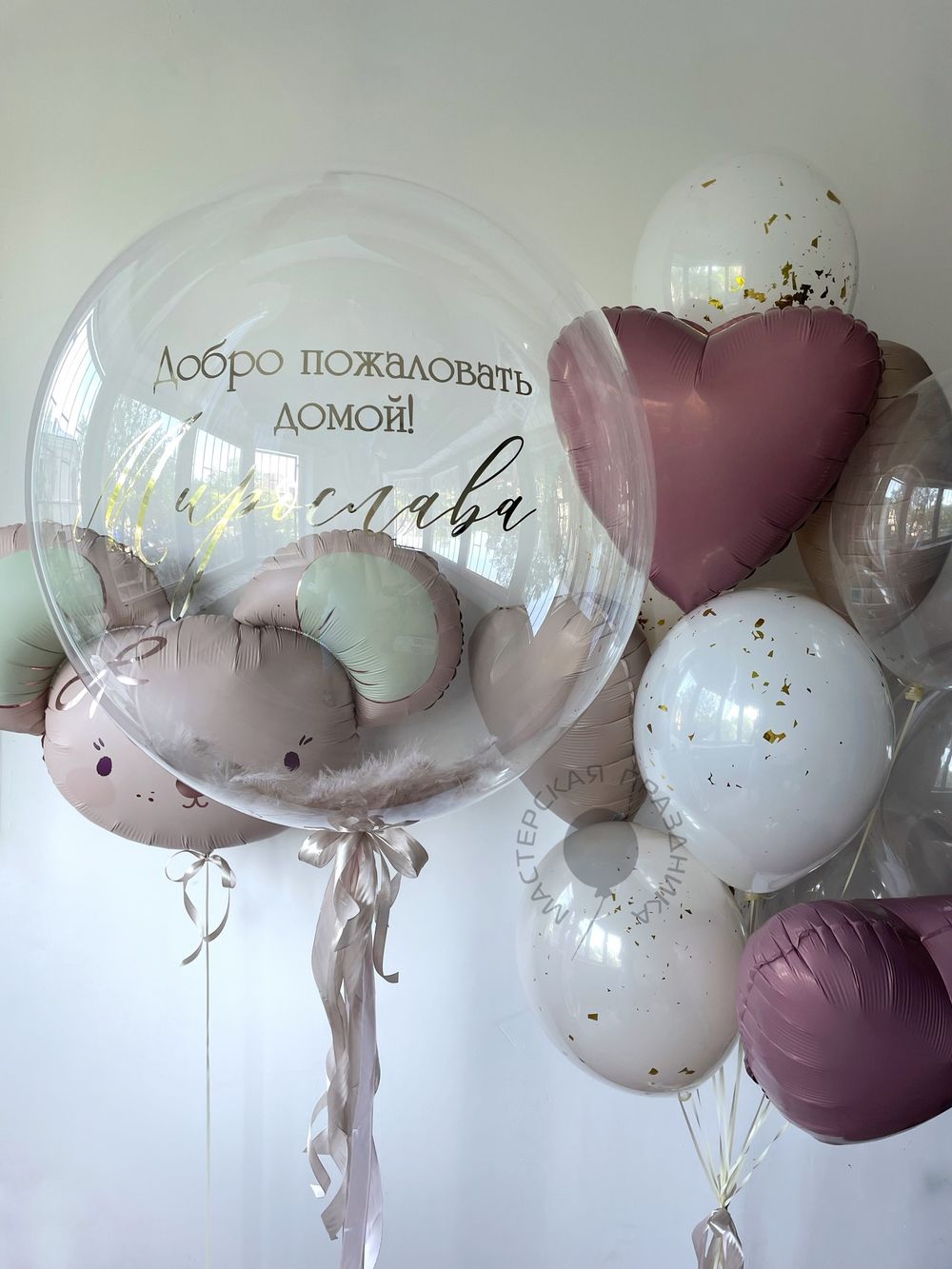 Шары на выписку для девочки №8018  Изображение3