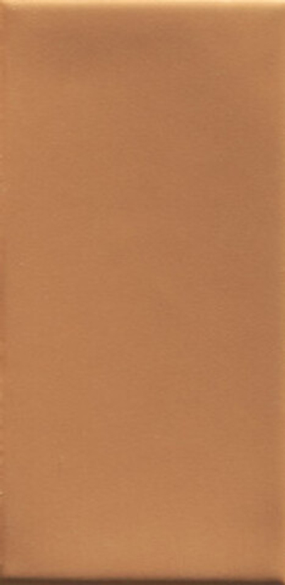 Настенная плитка Mou Caramel Matte (4101108)