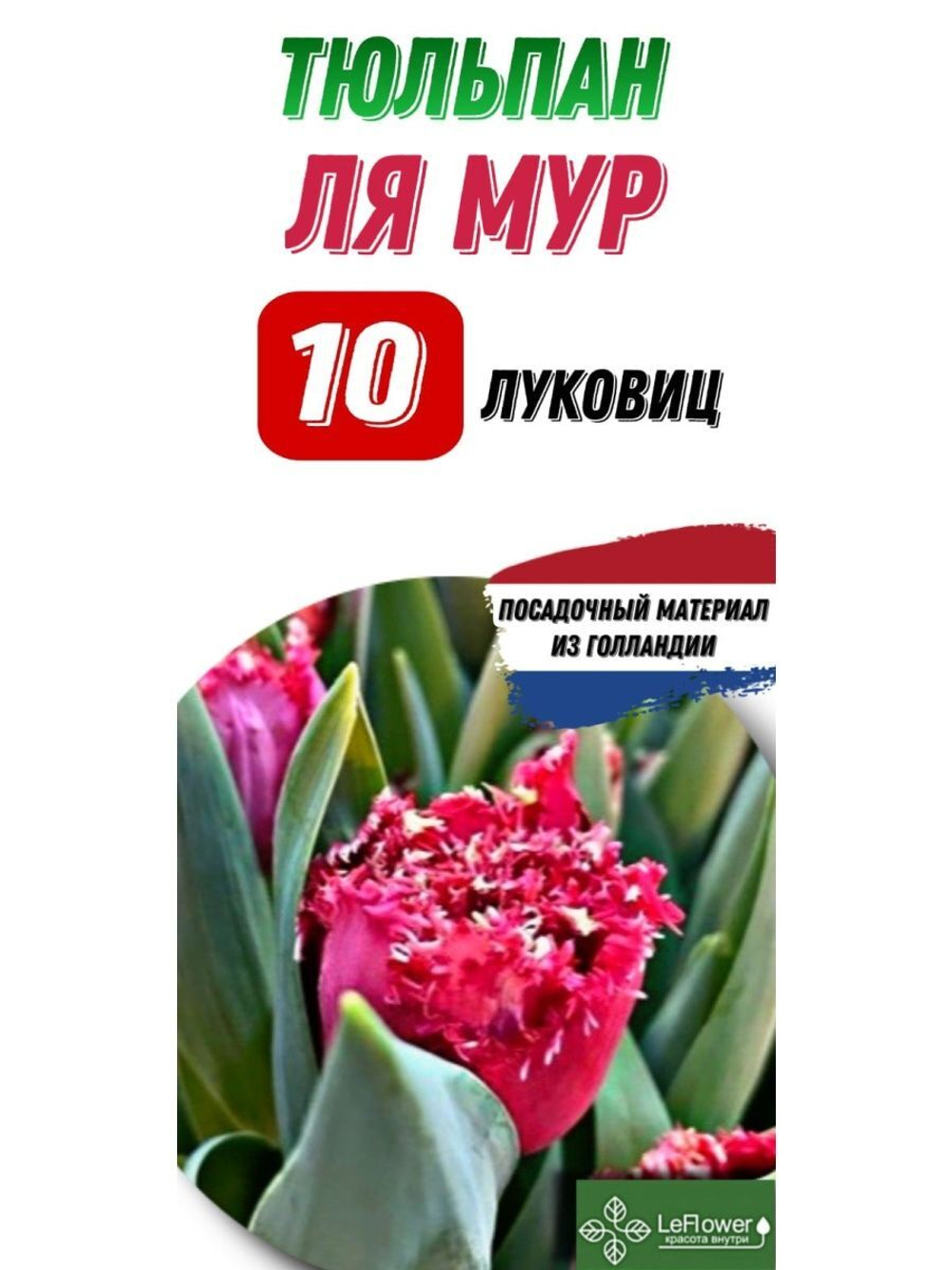 Тюльпан Луковица, Ля Мур, 10шт