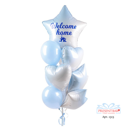 Воздушный сет на выписку мальчика