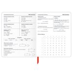 Дневник 1-11 класс 48 л., кожзам (гибкая), печать, фольга, BRAUBERG, "Гранаты", 106222