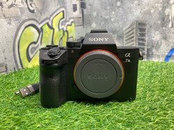 Sony A7 III (19.600 кадров)