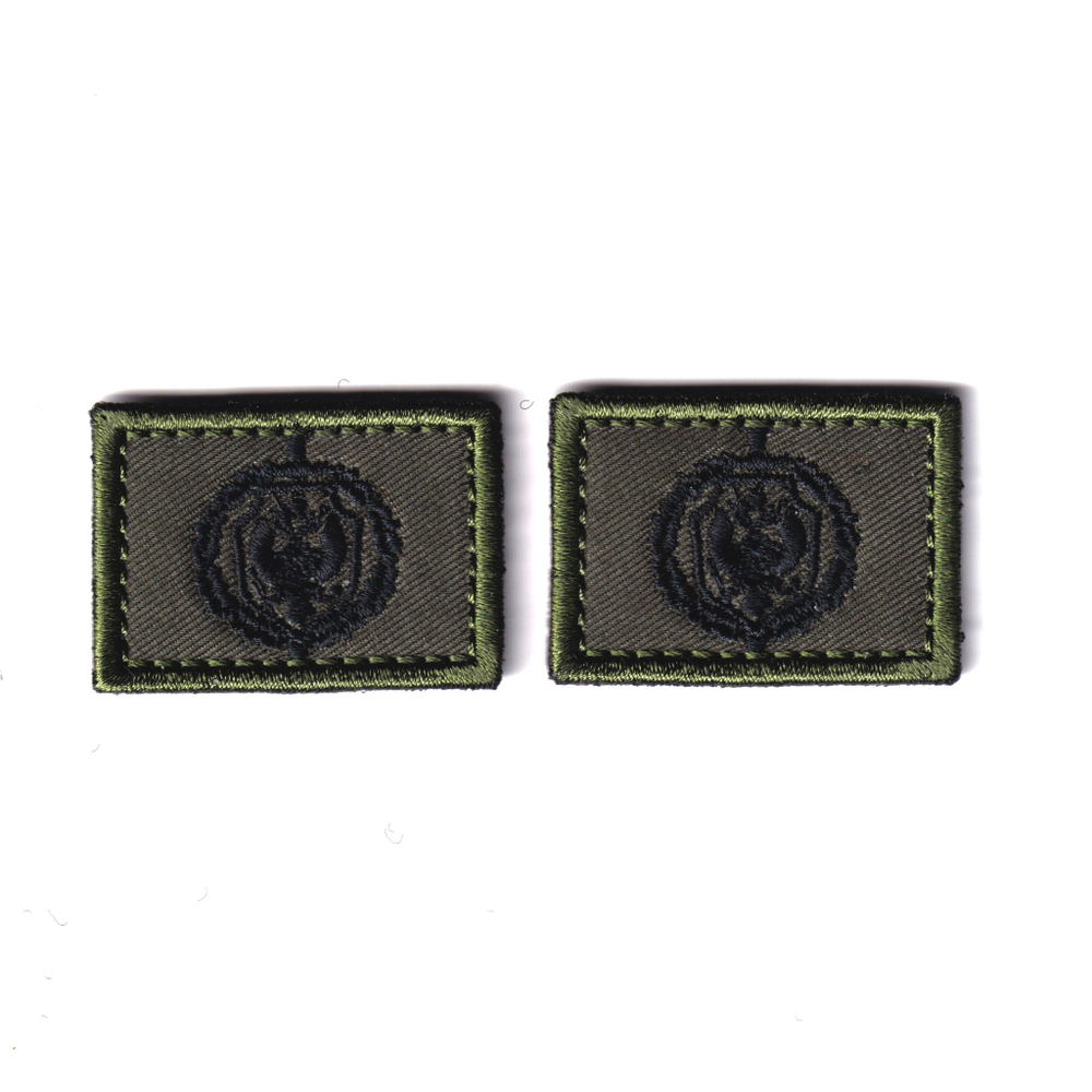 Эмблемы ( Нашивка Знак ) Петличные ( Петлицы ) ФСБ Полевые Черные | ATRIBUTICASTORE.RU