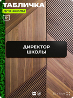 Табличка Директор школы, школьные таблички на дверь кабинета, 30х8 см, Айдентика Технолоджи