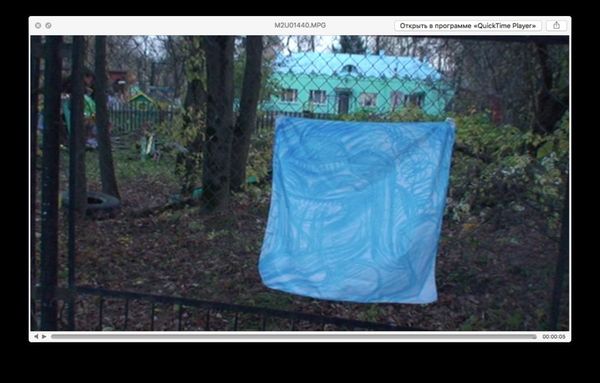 Полотно Леший - фото 2