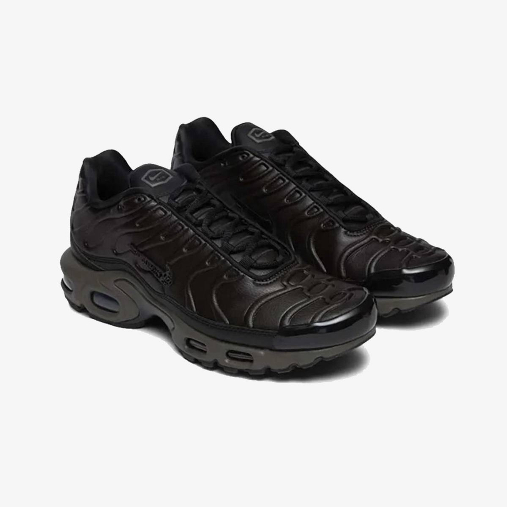 Nike Air Max Tn Plus Premium Paris