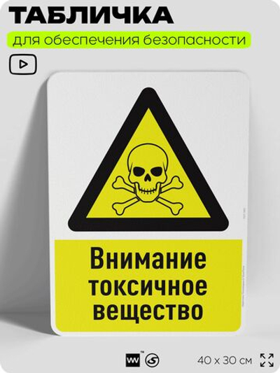 Табличка для обеспечения безопасности "Внимание токсичное вещество", для производства, предприятия, организаций, 40х30 см, Silver Plane x Айдентика Технолоджи
