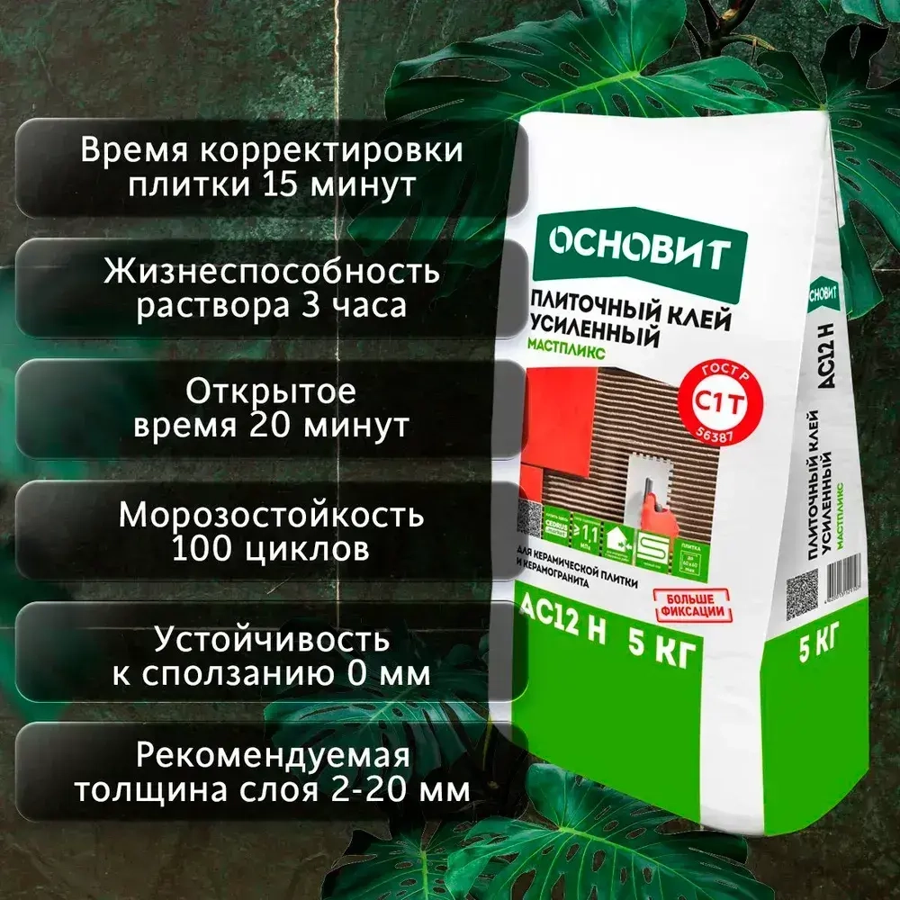 Клей для плитки Мастпликс AC12 Н (5кг)