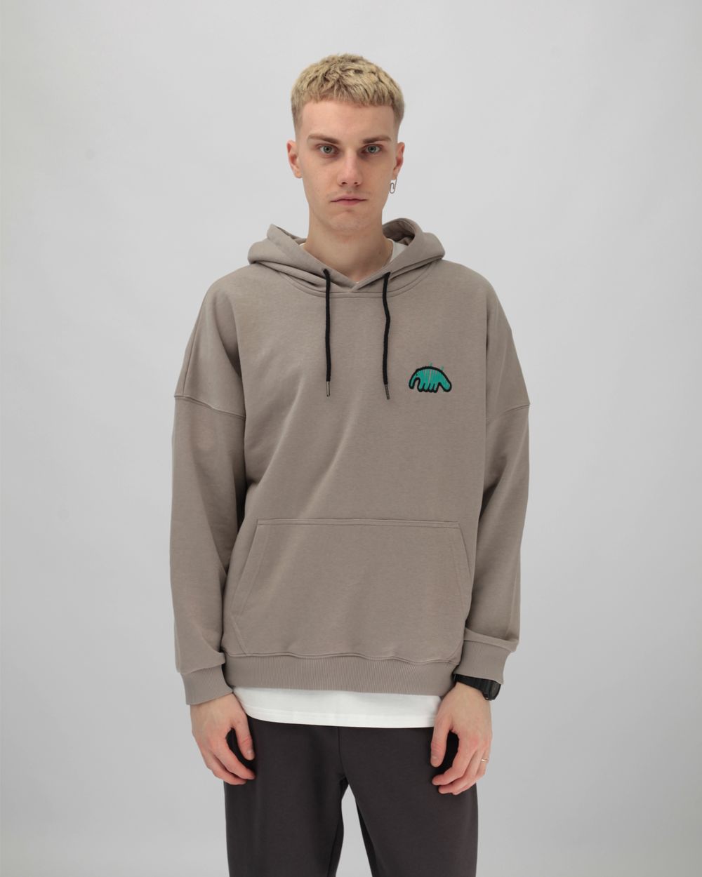 Худи Anteater Green Hatch Logo Серый