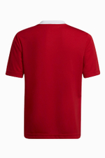 Футболка adidas Entrada 22