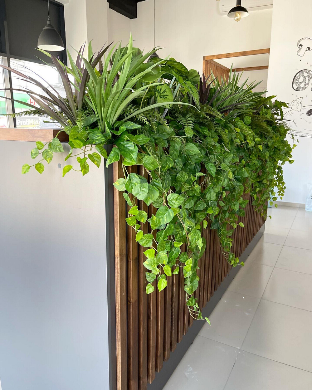 Бегония куст 45 см.