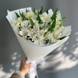 Букет из белой альстромерии