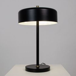 Декоративная настольная лампа Arte Lamp