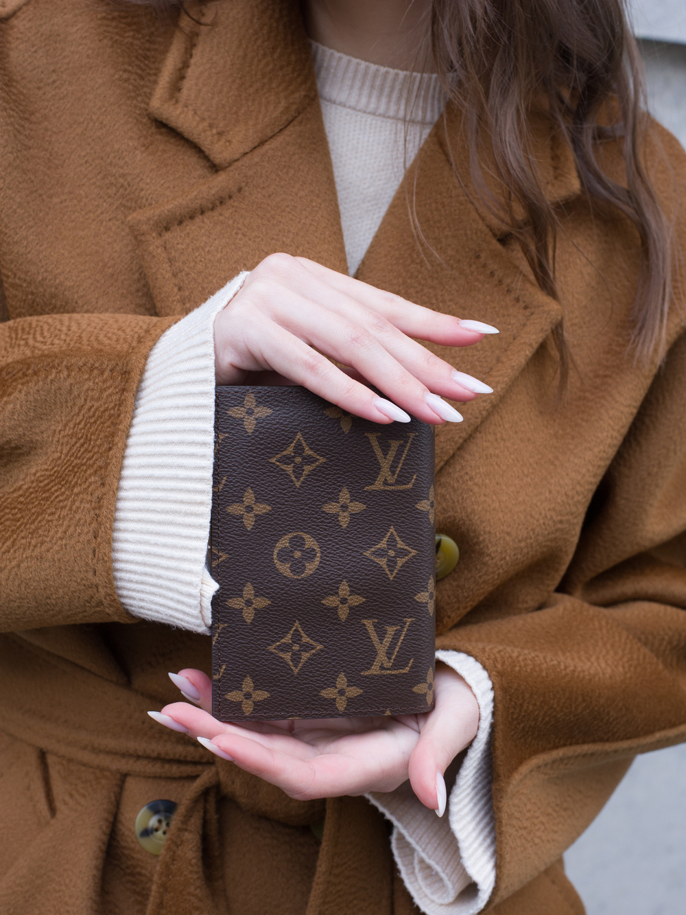 Louis Vuitton Обложка для паспорта