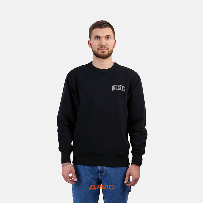 Толстовка мужская Dickies Aitkin Chest Sweatshirt  артикул:DK0A4YBGJ941 - купить в магазине Дайс