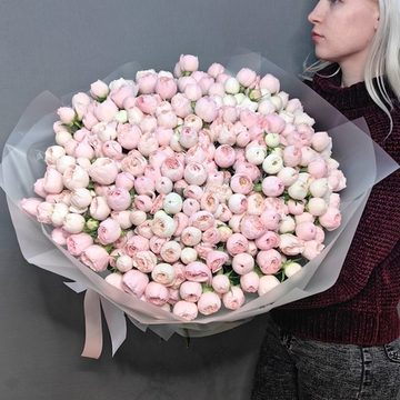 Букет из 101 кустовой пионовидной розой "Mansfield park"