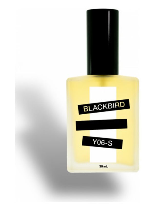 Blackbird Y06-S
