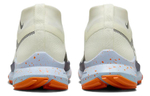 Кроссовки Nike Pegasus Trail 4 Gore-Tex