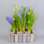 Композиция с первоцветами Брёвна L