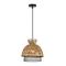 Подвесной светильник Arte Lamp WOODSTOCK A7070SP-1BK