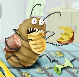 Как защитить растение от насекомых вредителей. Часть 4.