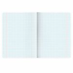 Тетради предметные, КОМПЛЕКТ 12 ПРЕДМЕТОВ, 48 л., TWIN лак, BRAUBERG "ASIA", 405174