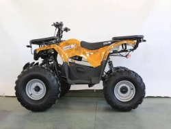 Электроквадроцикл Green Camel Атакама T240 (48V 1000W R8 Дифференциал) пониженная