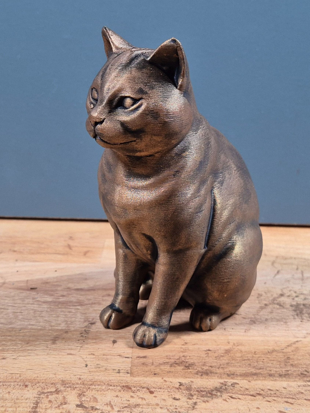 Американская короткошерстная кошка