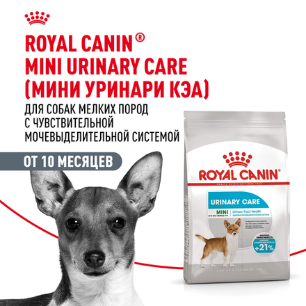 Royal Сanin Mini Urinary Care Мини Уринари Кэа Корм сухой диета для собак мелких размеров с чувствительной мочевыделительной системой 3кг