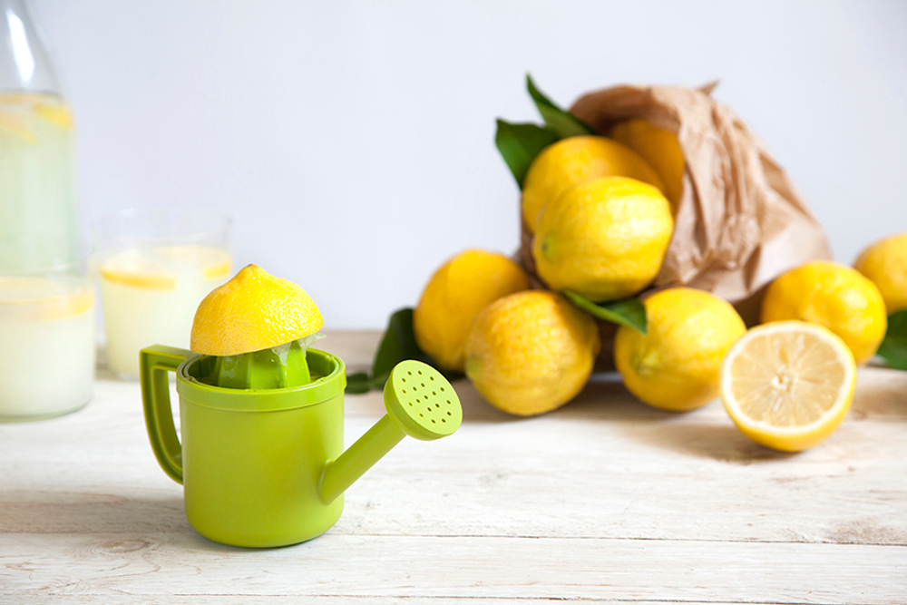 Соковыжималка для лимонов lemoniere