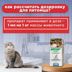 Суспензия для кошек от всех видов гельминтов и глистов АВЗ Диронет со шприцом дозатором, 15 мл пирантел/ празиквантел/ ивермектин
