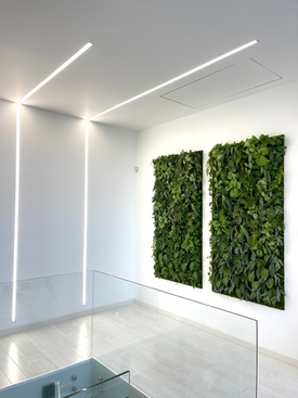 Озеленение искусственными растениями бизнес пространств.