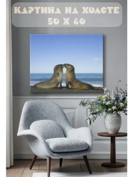 Картина на стену 40 X 50 Тюлень
