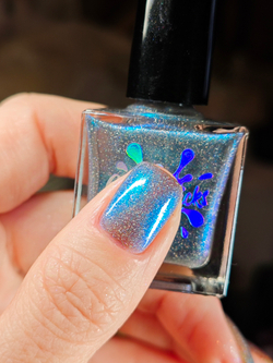 I'm Going to Feed You to My Tarantula