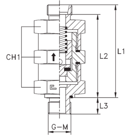 Клапан обратный с наружной резьбой DS20 BSP 3/4" выпускной (корпус)