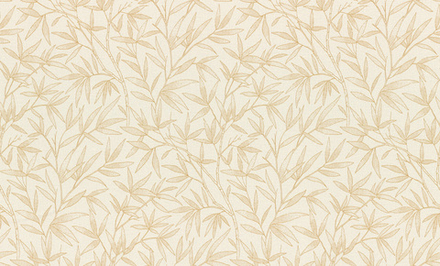 Rasch 1.06m*10m 983142 Novela Xl