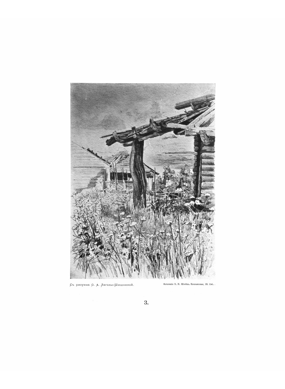 Рисунки карандашом 1879-1880 гг | Лагода-Шишкина Ольга Антоновна
