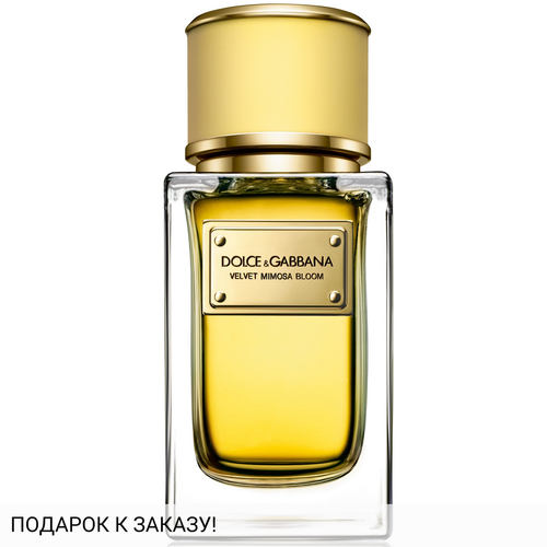 Dolce and Gabbana Velvet Mimosa Bloom