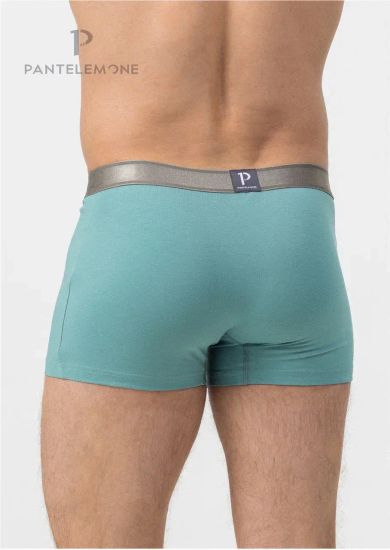 Трусы мужские боксеры Pantelemone PMH-1459, виридиан