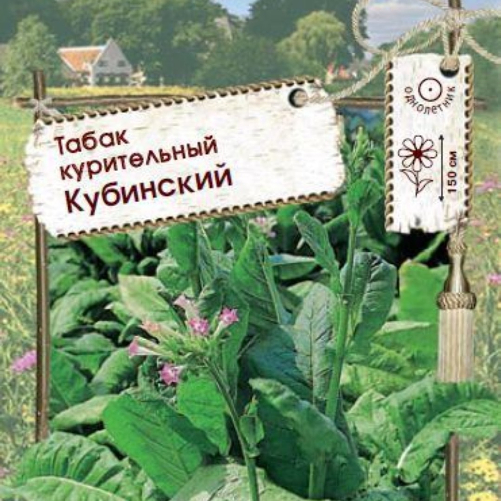 Табак курительный Кубинский