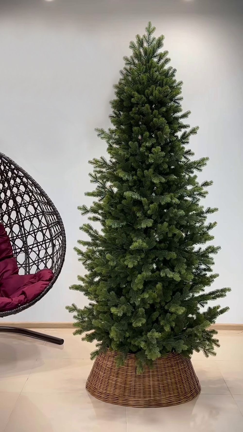 Узкая елка Монте