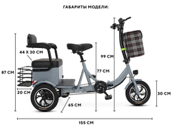 Трехколесный двухместный электровелосипед ZIT